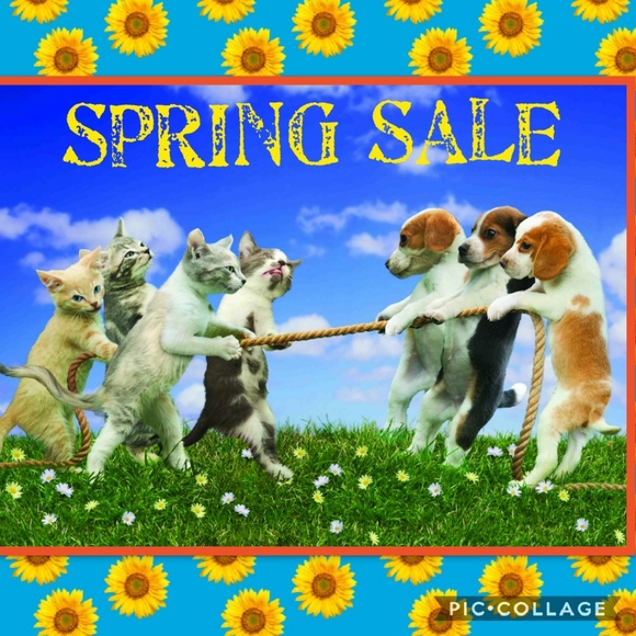 ππ» Doggie Antics π»π - Picture 2 of 3